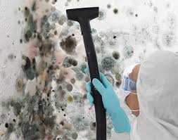  Port St John, FL Mold Removal & Remediation Pros